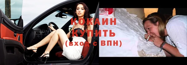 спайс Арсеньев