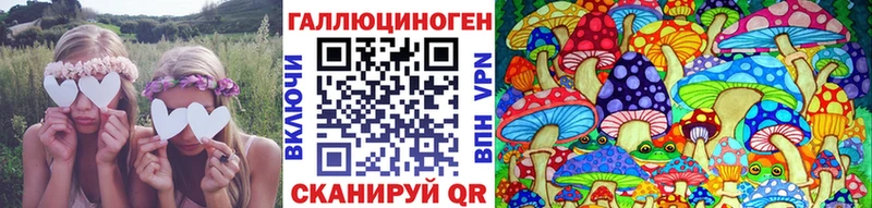 Галлюциногенные грибы Cubensis  закладка  Пыталово 