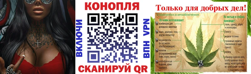 Конопля SATIVA & INDICA Пыталово